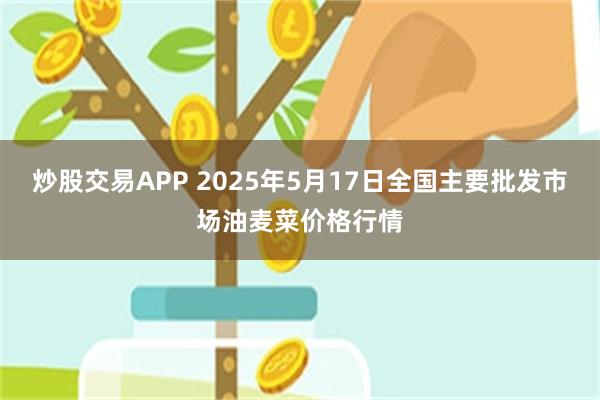 炒股交易APP 2025年5月17日全国主要批发市场油麦菜价格行情