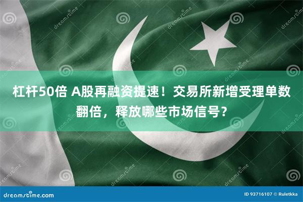 杠杆50倍 A股再融资提速！交易所新增受理单数翻倍，释放哪些市场信号？