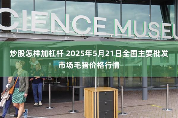 炒股怎样加杠杆 2025年5月21日全国主要批发市场毛猪价格行情
