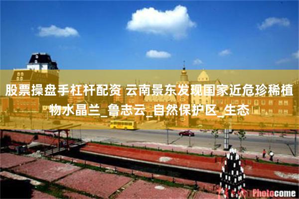 股票操盘手杠杆配资 云南景东发现国家近危珍稀植物水晶兰_鲁志云_自然保护区_生态